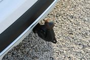 Audi A4 Allroad 40 TDI mHEV quattro S tronic