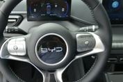 BYD Dolphin Surf Comfort