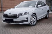 Skoda Octavia Edition 130 Selection 2.0 TSI 4x4 DSG