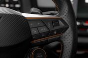 Cupra Terramar Advantage Edition 2.0 TSI 4Drive DSG