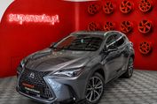 Lexus UX 300h AWD