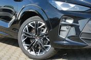 Cupra Terramar Advantage Edition 2.0 TSI 4Drive DSG