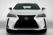 Lexus UX 300h Business