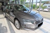 Skoda Octavia Selection 2.0 TSI 4x4 DSG