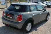 Mini Mini One