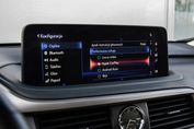Lexus RX 300 Business Edition +