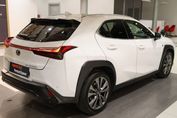 Lexus UX 300h F Sport Design AWD