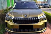Skoda Kodiaq Selection 2.0 TDI DSG 4x4