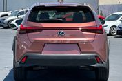 Lexus UX 300h Business