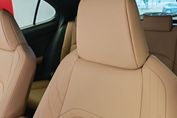 Lexus UX 300h F Sport Design 2.0 Hybrid Dynamic Force