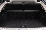 BMW Seria 5 530e xDrive Luxury Line aut