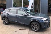 Cupra Formentor 2.0 TSI 4Drive DSG