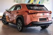 Lexus UX 300h Business