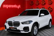 BMW X5 xDrive40i mHEV aut