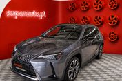 Lexus UX 300h Business