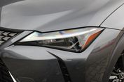 Lexus UX 300h Business