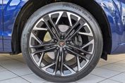 Cupra Terramar Advantage Edition 2.0 TSI 4Drive DSG