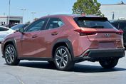 Lexus UX 300h Business