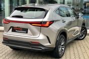 Lexus NX 350h Business AWD