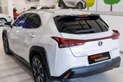 Lexus UX 300h Business