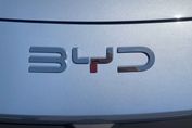 BYD Dolphin Surf Boost