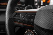 Cupra Terramar Advantage Edition 2.0 TSI 4Drive DSG