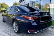 Lexus ES 300h Omotenashi