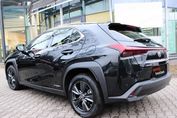 Lexus UX 250h Business Edition 2WD