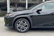Lexus UX 300h Business