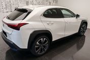 Lexus UX 300h Business 2.0 Hybrid Dynamic Force
