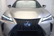 Lexus UX 300h F Sport Design Full Bitone 2.0 Hybrid Dynamic Force