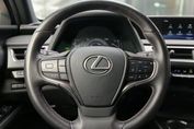 Lexus UX 250h Business Edition 2WD