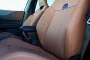 Mini Countryman C Linia Favoured