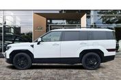 Hyundai Santa Fe 1.6 T-GDI PHEV Calligraphy 4WD 7os