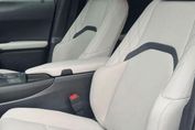Lexus UX 300h F Sport Design Full Bitone 2.0 Hybrid Dynamic Force