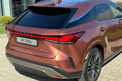 Lexus RX 350h Business Hybrid