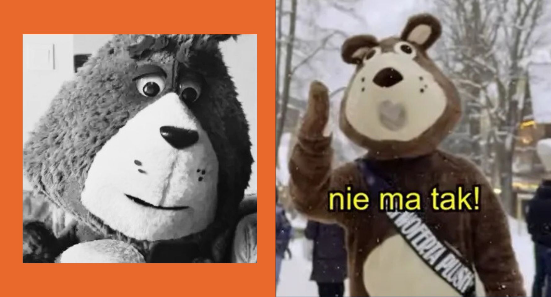 "Patrzcie i uczcie się od niego wszyscy". Ta marka miała zniknąć, ale Plusha uratował trochę szalony marketing z misiem