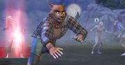 Likantropia w The Sims 4, za niespełna 90 złotych