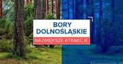 Największe atrakcje w Borach Dolnośląskich