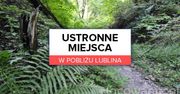 Ustronne miejsca w pobliżu Lublina