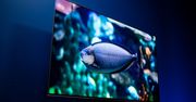 Czy ktoś kupuje telewizory QD-OLED? Znamy wyniki sprzedaży