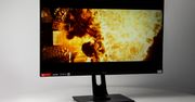 Czy większy zawsze oznacza lepszy? Sprawdzamy iiyama Red Eagle G-Master GB3271QSU