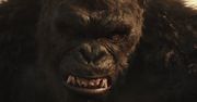 Godzilla kontra Kong – film wygenerował ogromne przychody!