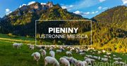 Ustronne miejsca na weekend w Pieninach