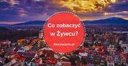Co można zobaczyć w Żywcu? To miejsce cię nie zawiedzie!