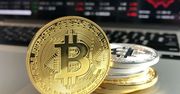 Katastrofa Bitcoina - najlepsze memy z sieci