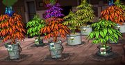 Marihuana na Steamie - dziś premiera gry Weedcraft Inc