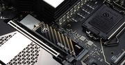 MSI wprowadza tanie dyski SSD pod PCI-Express 4.0