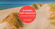 Nie tylko ruchome wydmy! Unikatowa atrakcja w Słowińskim Parku Narodowym