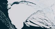 Tak odrywa się góra lodowa od Antarktydy (wideo). I nie wińcie za to ocieplenia klimatu
